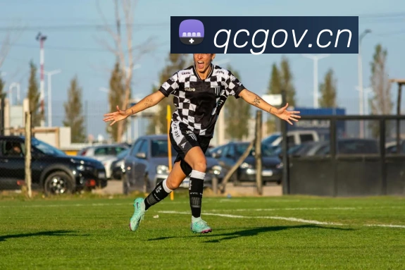 电子pg平台下载官网发展历程